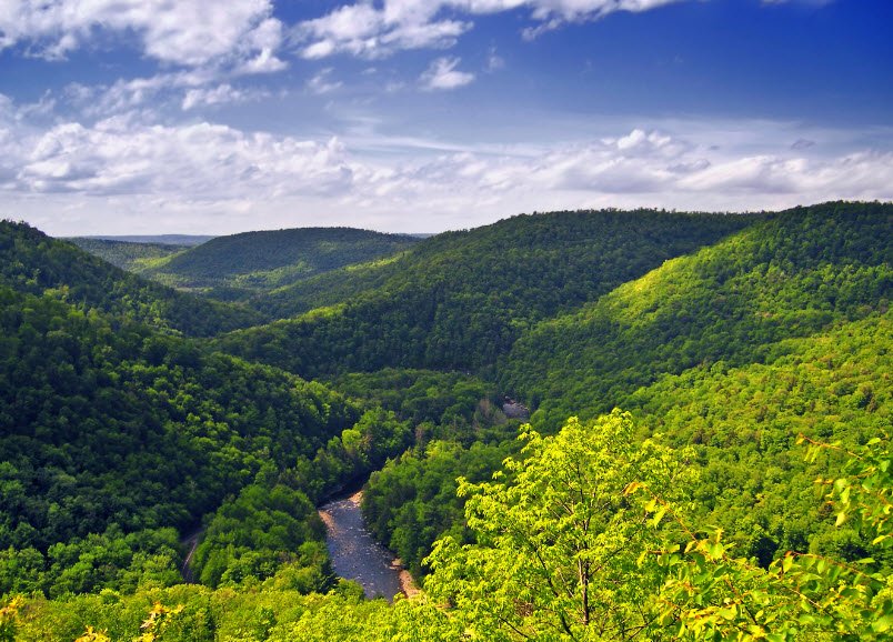 Worlds End State Park, Pennsylvania, USA